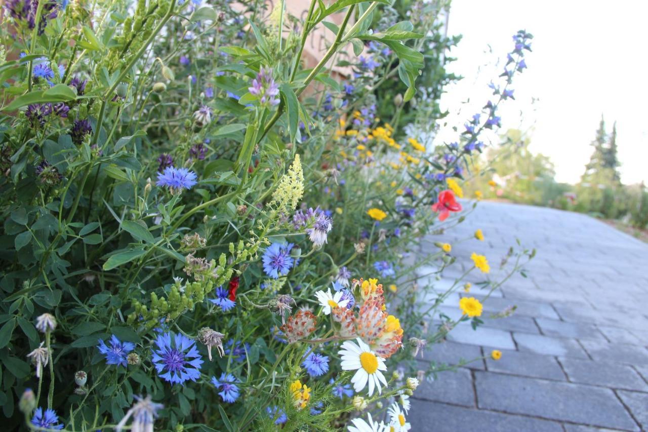 Ferienwohnungen "Blumenwiese" Dillingen an der Donau Ngoại thất bức ảnh