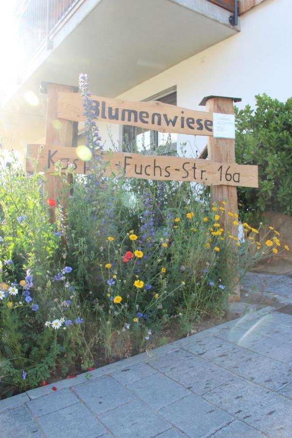 Ferienwohnungen "Blumenwiese" Dillingen an der Donau Ngoại thất bức ảnh